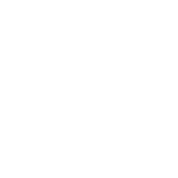 Discord Icon
